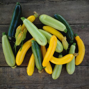 Cukinia żółta (ok. 1 kg czyli 2-3szt)